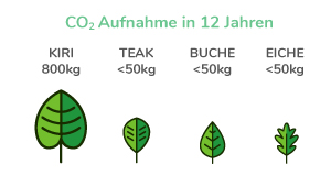 Grafik CO² Aufnahme in 12 Jahren