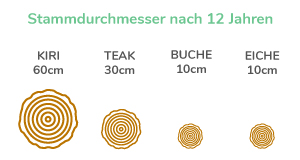 Grafik Stammdruchmesser nach 12 Jahren