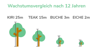 Grafik Wachstumsvergleich in 12 Jahren